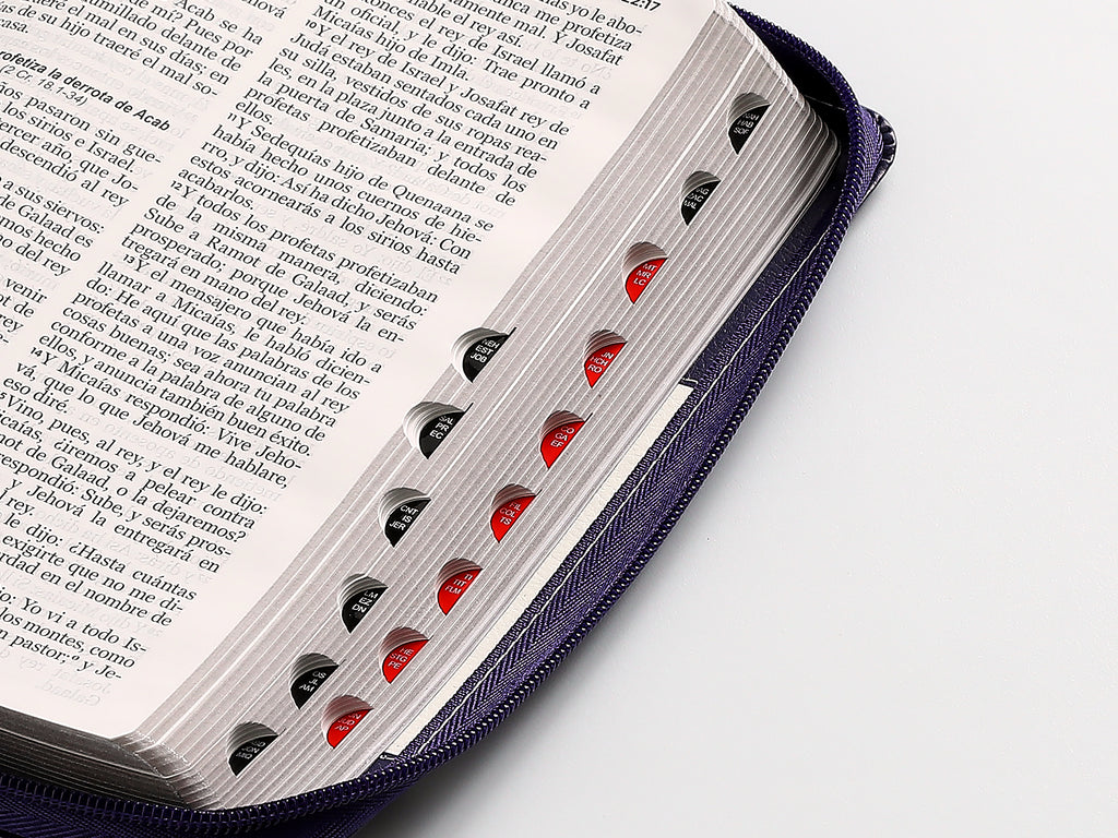 Biblia RVR60/065LG/czti/Tricolor Lila/Flores/Lila