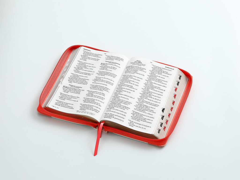 Biblia RVR065LG czti PJR Inspiración Blanco/coral/coral pájaros Tamaño Manual