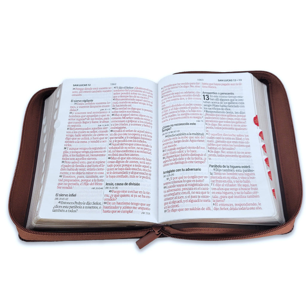 Biblia mediana con cierre índice canto dorado León letra grande 12 punto marrón /café