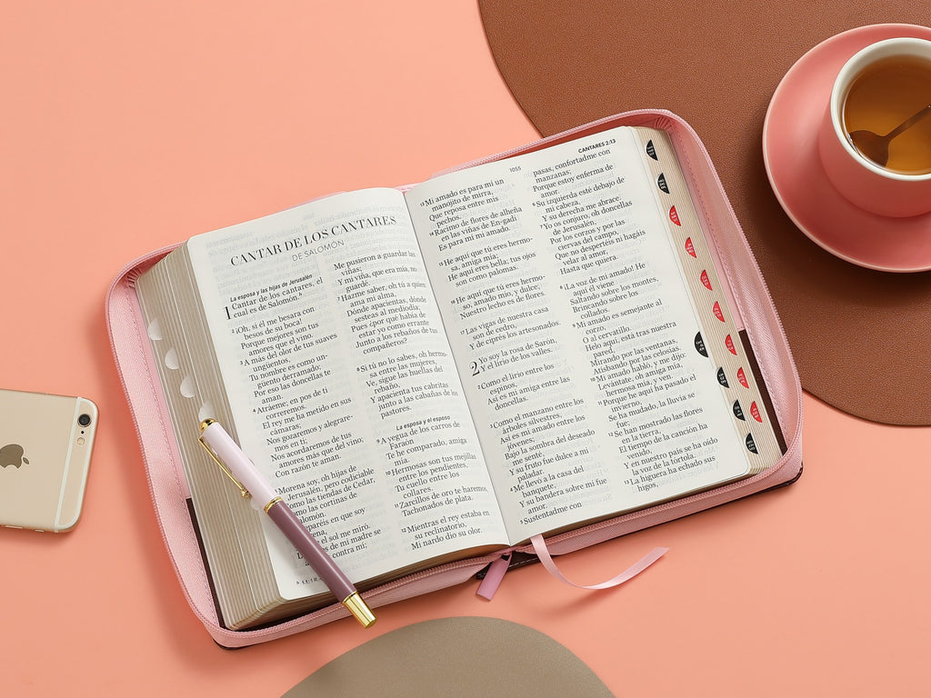 Biblia grande letra 14 puntos cierre concordancia índice canto dorado café/rosa