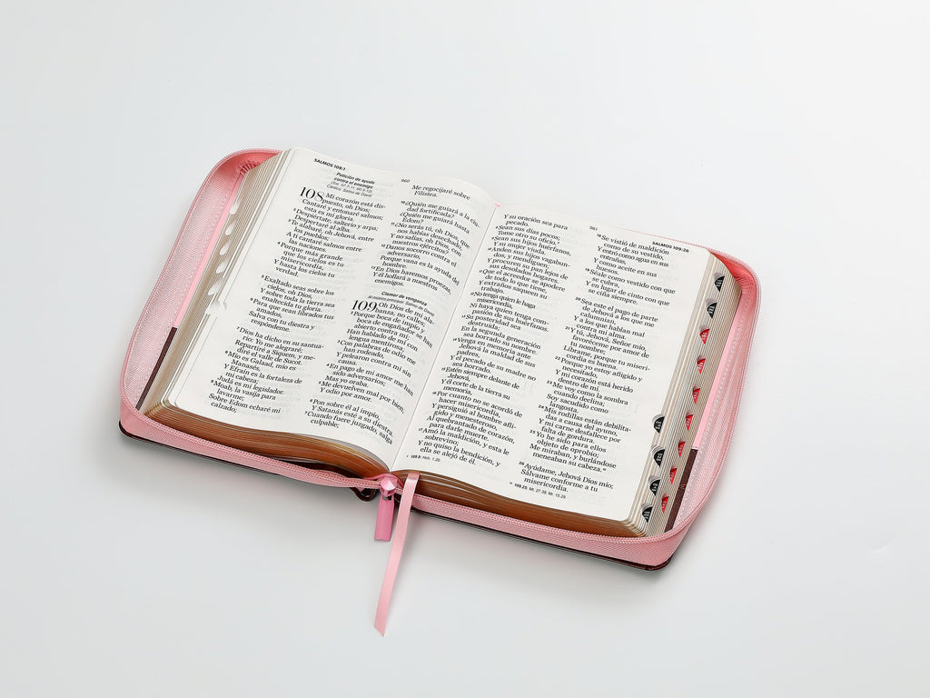 Biblia grande letra 14 puntos cierre concordancia índice canto dorado café/rosa