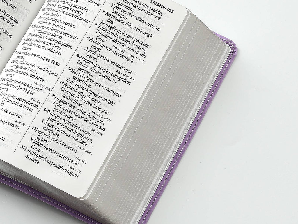BIBLIA REINA VALERA 1960 MEDIANA COLOR LILA