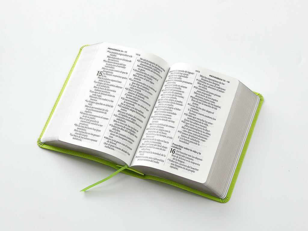 BIBLIA REINA VALERA 1960 IMITACIÓN PIEL MEDIANA VERDE LIMA