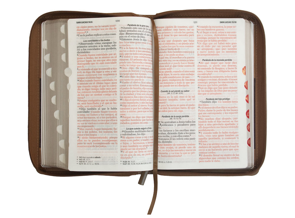 Biblia con Cierre Letra Grande 12 puntos RV1960 imi piel café con índice