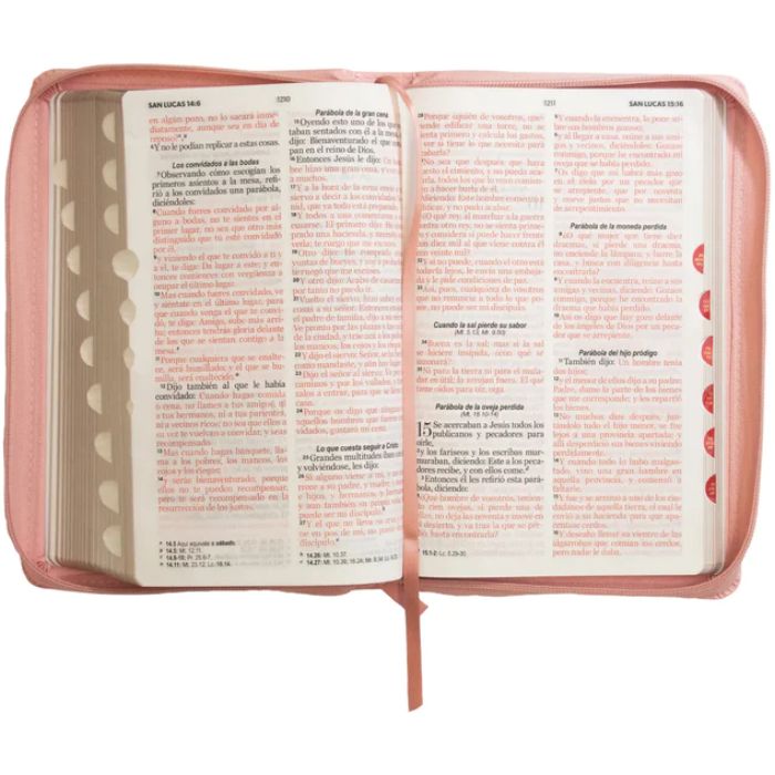 Biblia grande con concordancia cierre índice canto dorado rosa