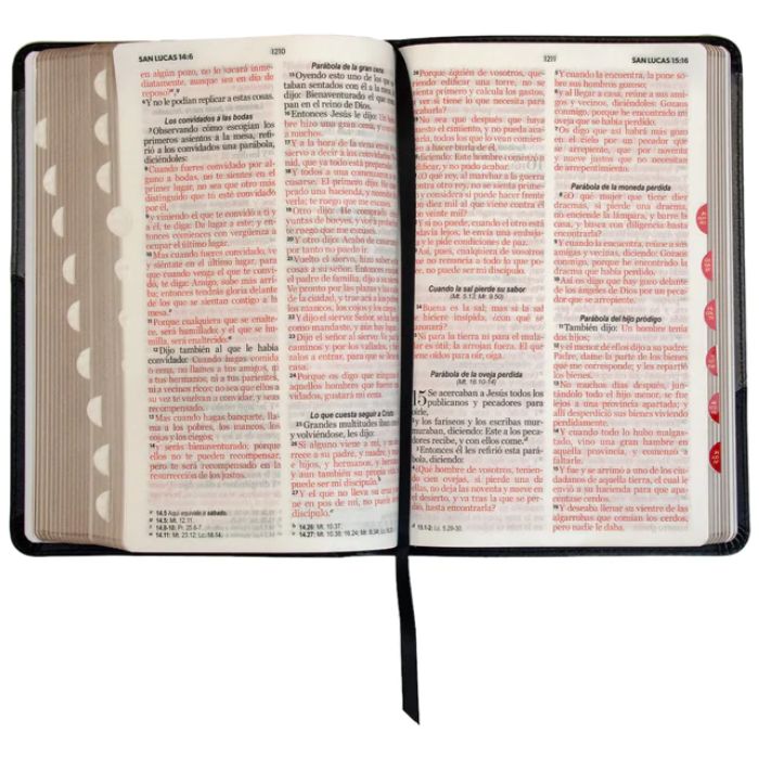 Biblia RVR1960 Bitono Negro Gris índice Letra Grande 12 PUNTOS