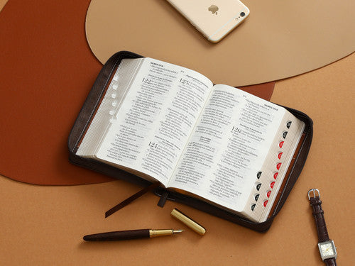BIBLIA REINA VALERA 1960 COLOR CAFE LETRA GRANDE