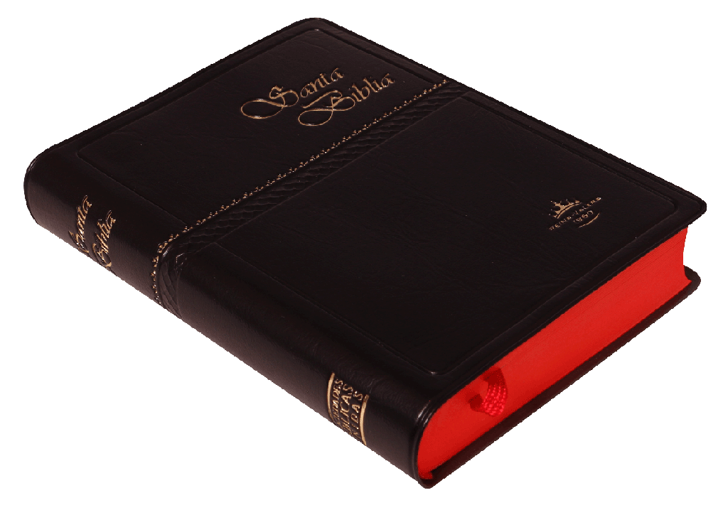 Biblia RVR022c, tamaño chico, Letra Chica Vinil Negro