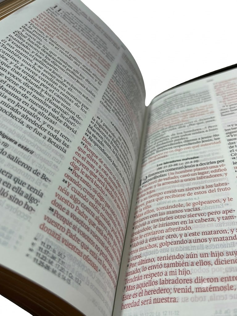 Biblia RVR60cz Obsequios Y Premios Moka Águila Con Cierre