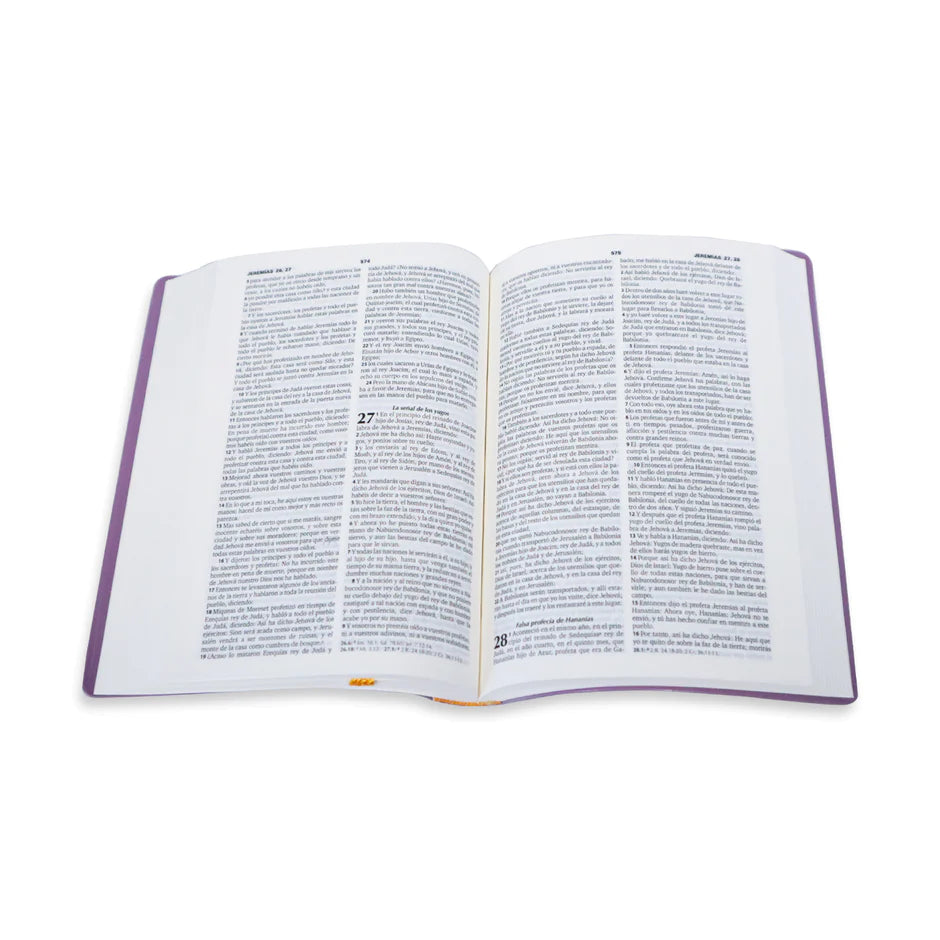 Biblia mediana RVR042, vinil, morado