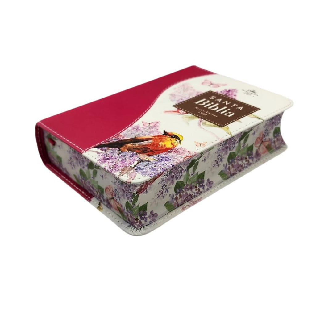Biblia RVR60 025c CP PJR Renovación Fucsia