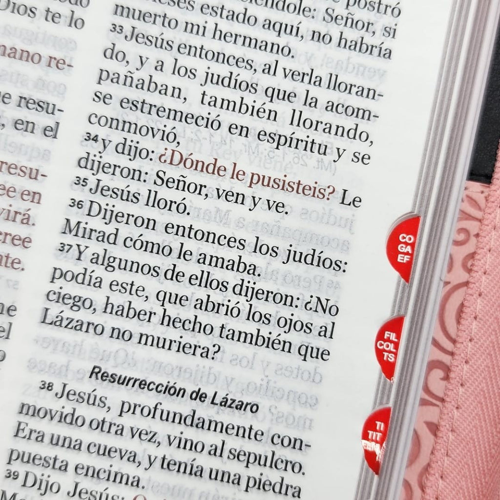 BIBLIA RVR1960 TAMAÑO MANUAL LETRA GRANDE CON CIERRE E ÍNDICE (TAPA IMITACIÓN PIEL)