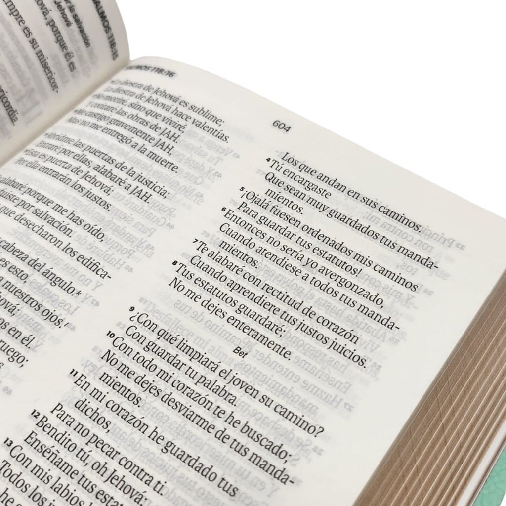 BIBLIA REINA VALERA 1960 MARIPOSAS GRANDE
