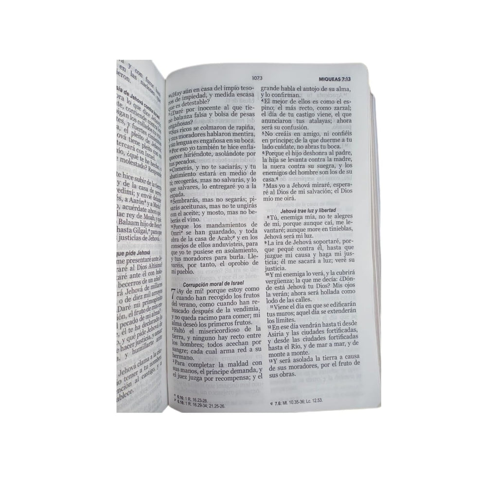 Biblia grande concordancia canto dorado letra 12 puntos café /mostaza