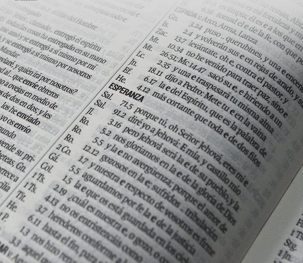 Santa Biblia RVR1960 Letra Gigante 14 puntos, Tapa vinilo negro