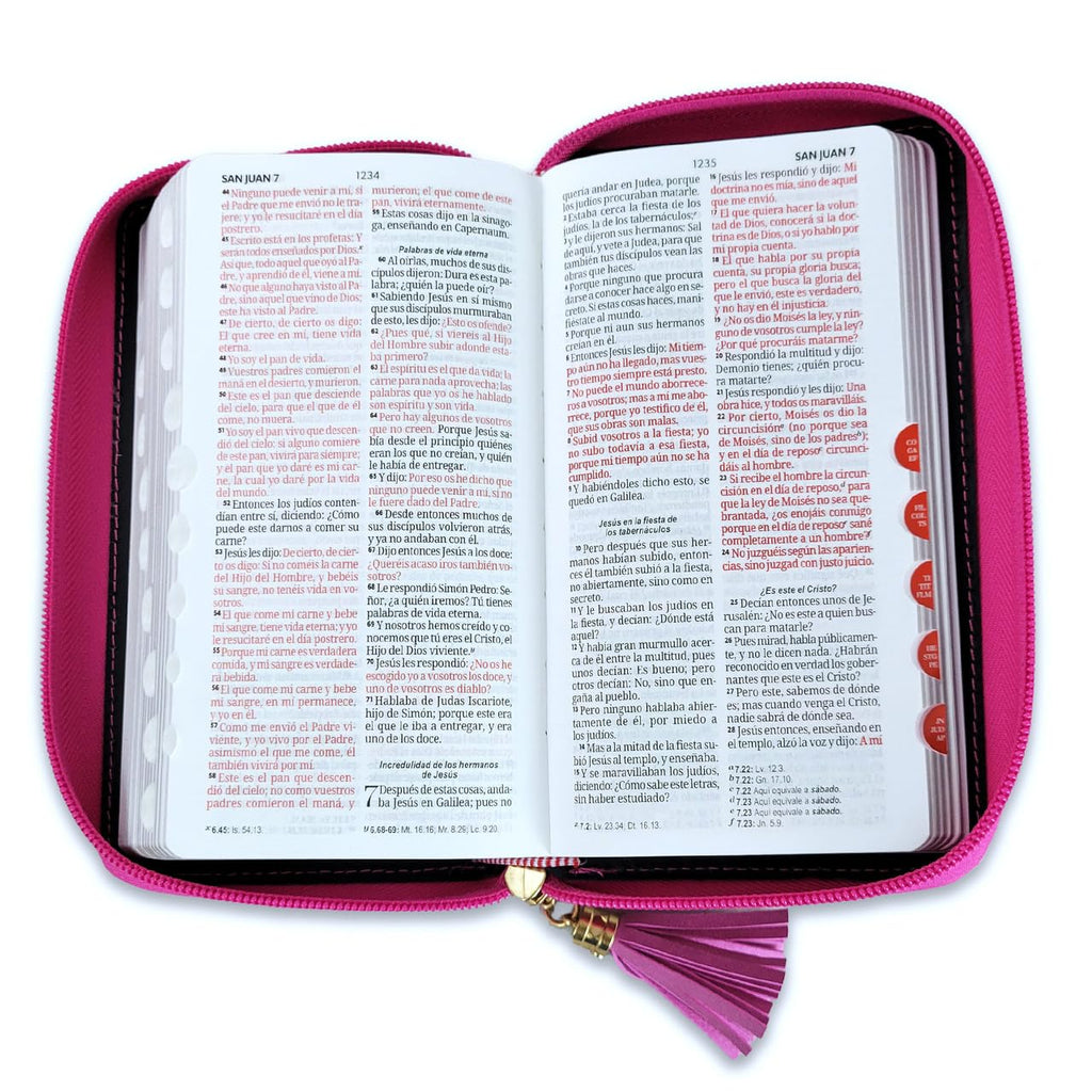 BIBLIA DE CHEQUERA CZTI PJR ROSA/FUCSIA/GRIS MB
