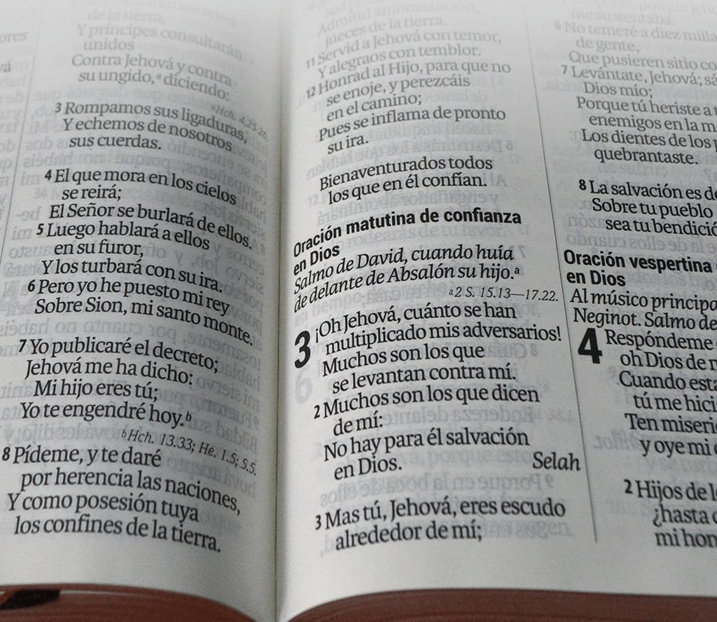 Santa Biblia RVR1960 Letra Gigante 14 puntos, Tapa vinilo negro