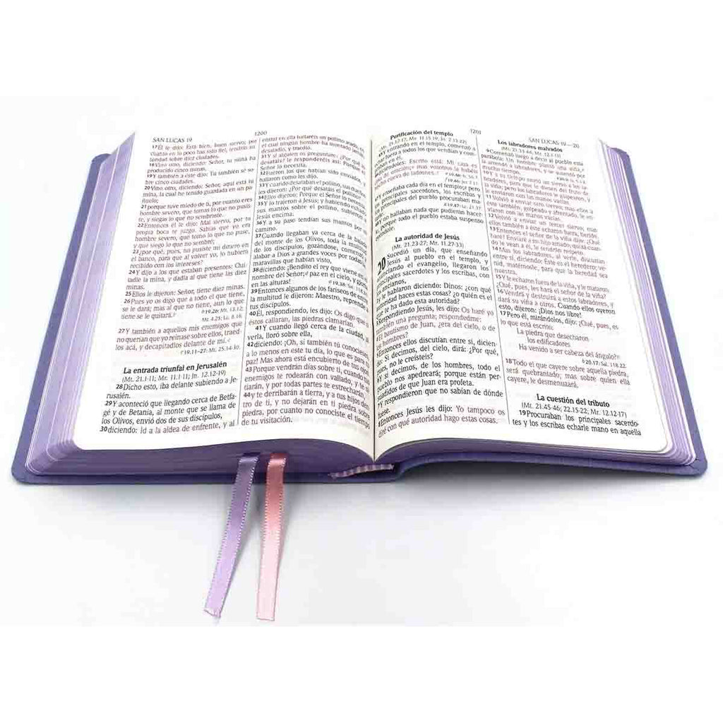 Biblia Reina Valera 1960 Mediana Letra Grande Imitación Piel Lila