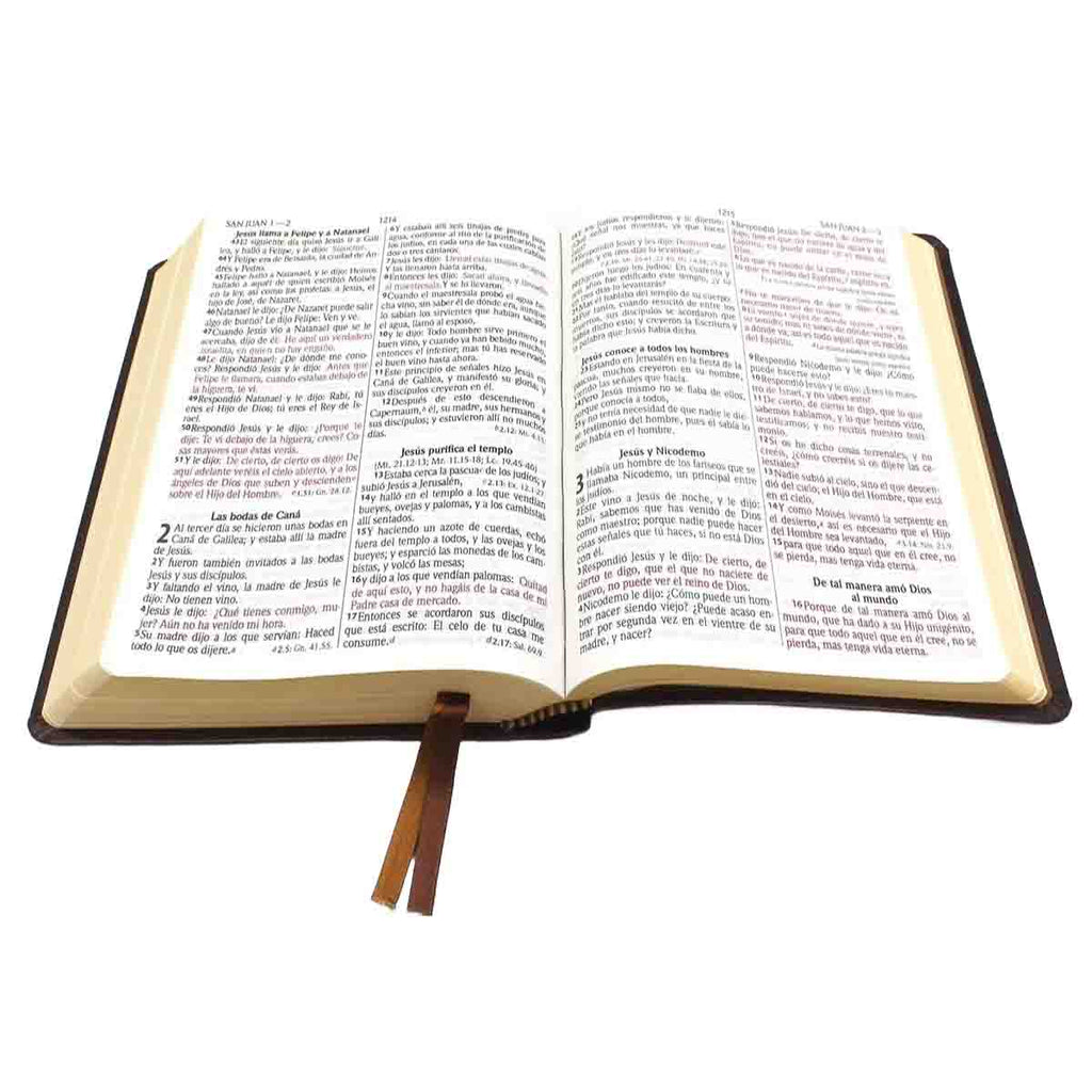Biblia Reina Valera 1960 Mediana Letra Grande Imitación Piel Cafe