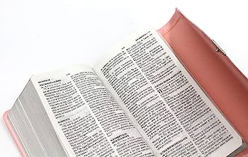 Biblia Tamaño Agenda, Imitación Piel Rosa