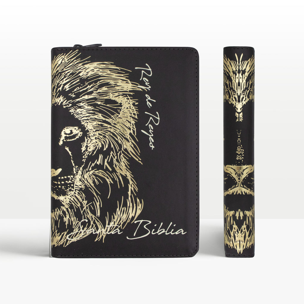 BIBLIA GRANDE LEON CAFE 12 PTS