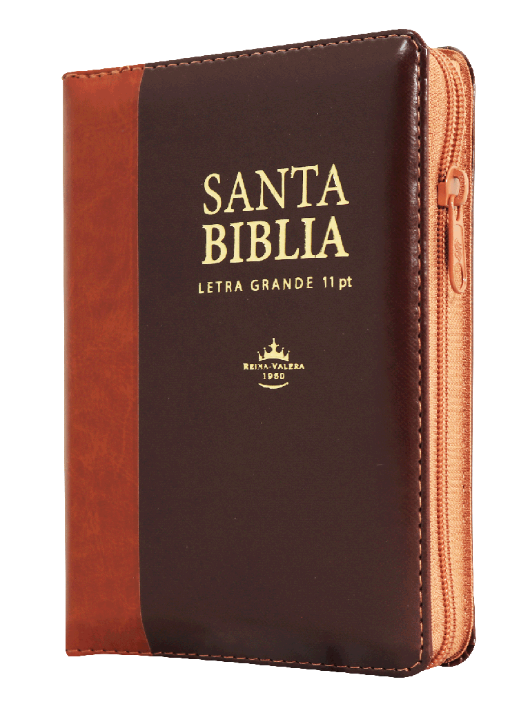 Biblia Marrón Cierre Letra Grande