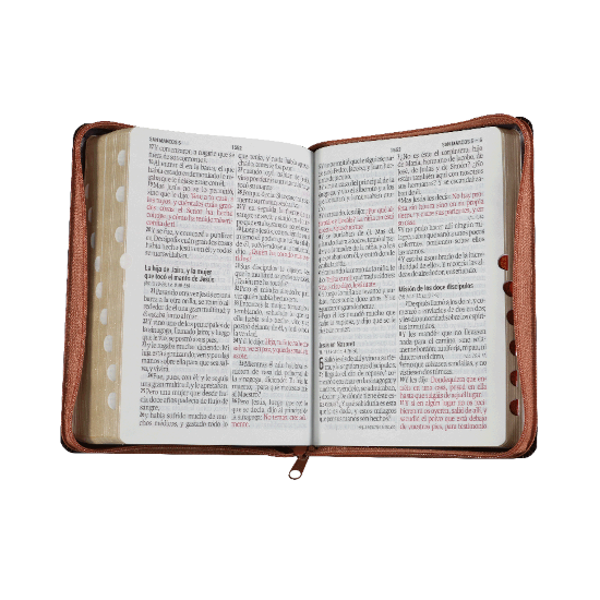 BIBLIA MARRON CAFE