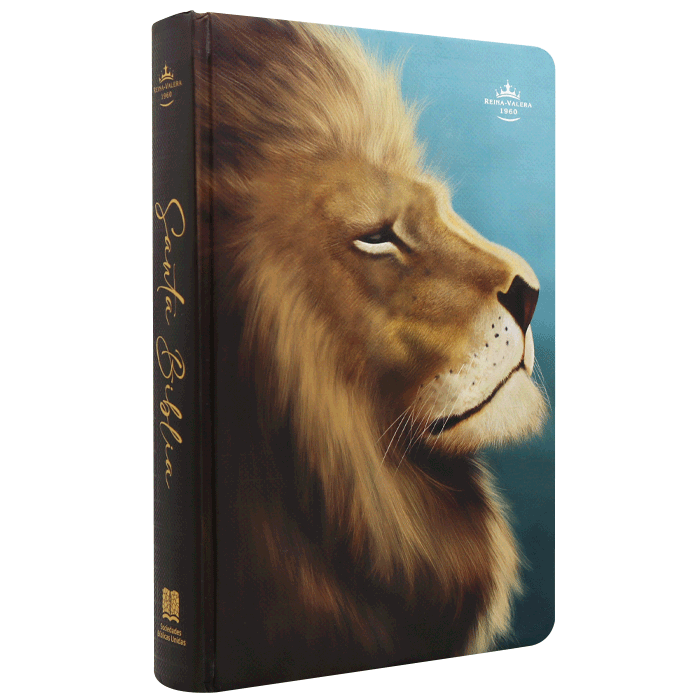 BIBLIA RVR063cLGPJR TAPA DURA LEON AZUL