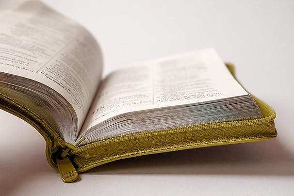 Biblia Mediana Con Cierre en color verde y Fucsia