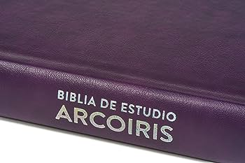 BIBLIA ARCOIRIS MORADO/MULTICOLOR