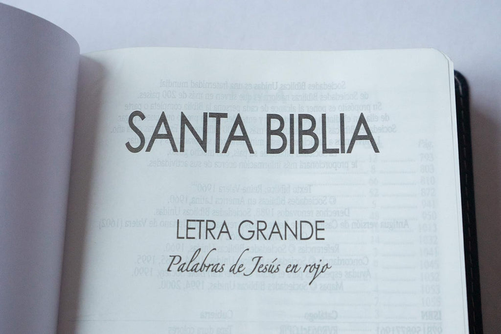 Biblia Reina Valera 1960 Mediana Letra Grande Imitación Piel Azul/Marrón