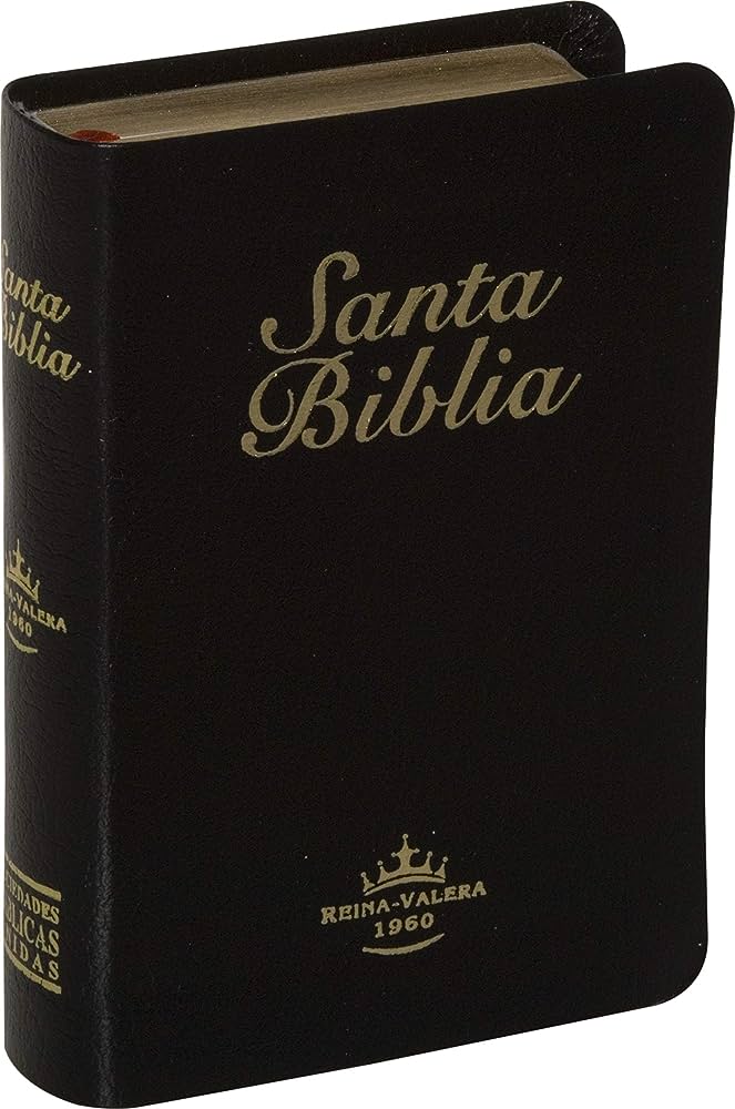Biblia Mini Bolsillo - Piel fabricada color Negro