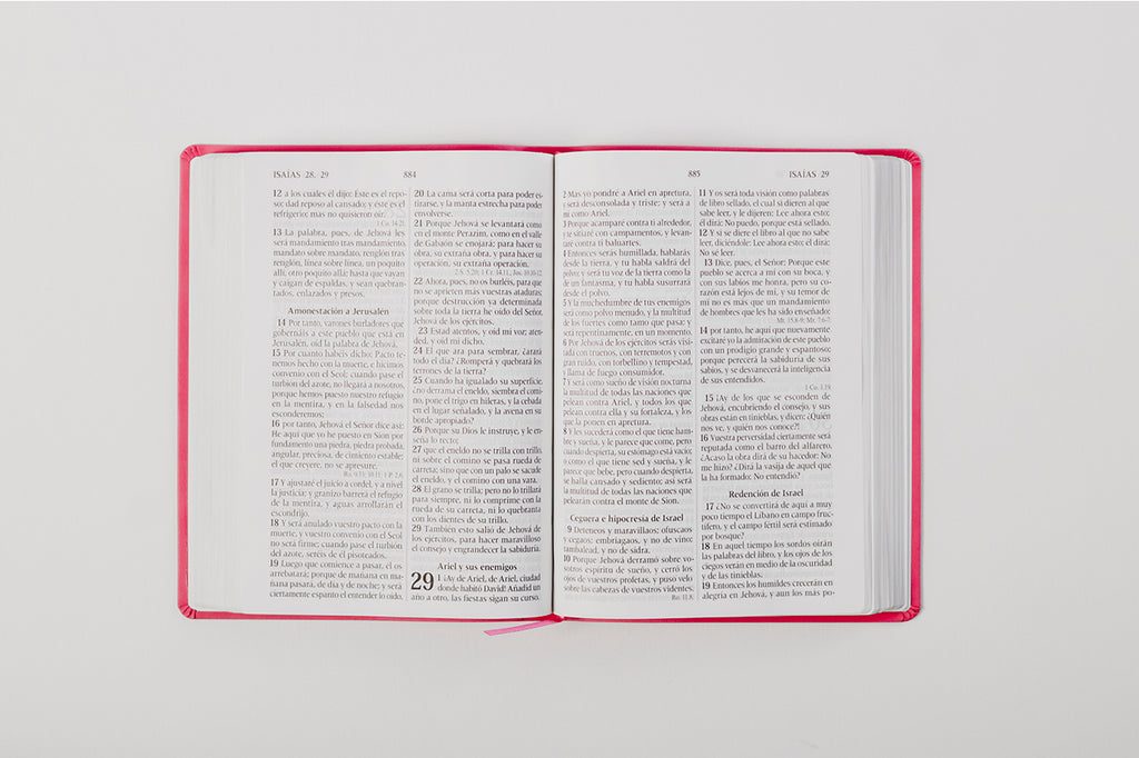 Biblia Letra Gigante Imitación Piel Color Fucsia