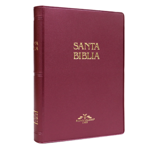 Biblia Reina Valera 1909 Mediana Letra Mediana Vinil Negro