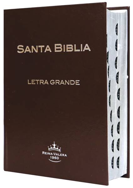 Biblia Reina Valera 1960 tamaño manual Letra Grande Tapa Dura Café [RVR053CTILGPJR]