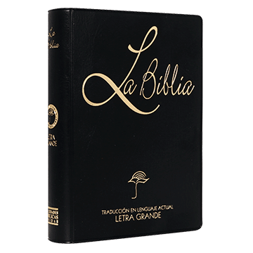 Biblia Traducción Lenguaje Actual Chica Letra Grande Vinil Negro