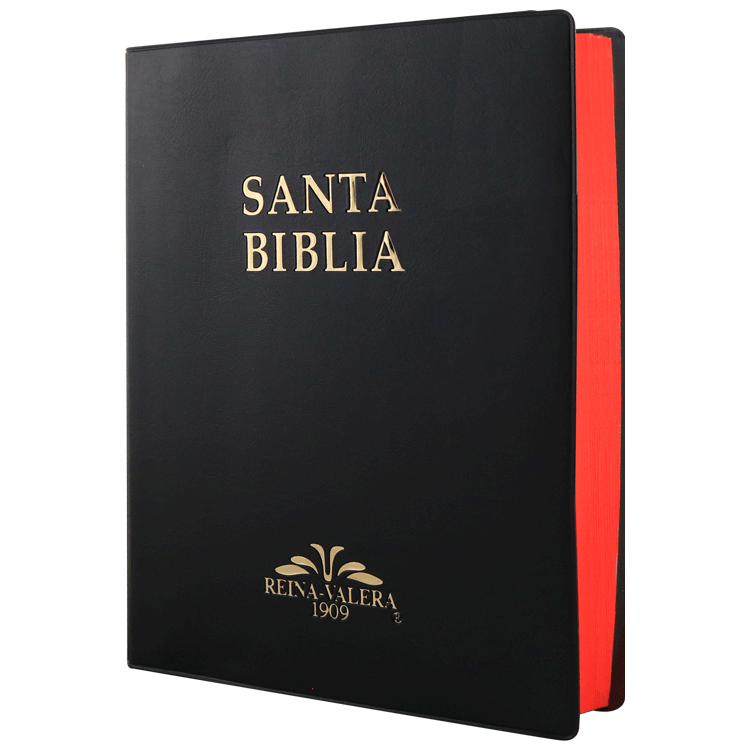 Biblia Grande Reina Valera 1909 Versión Antigua vinil Negro 🖤 [VR082LM]