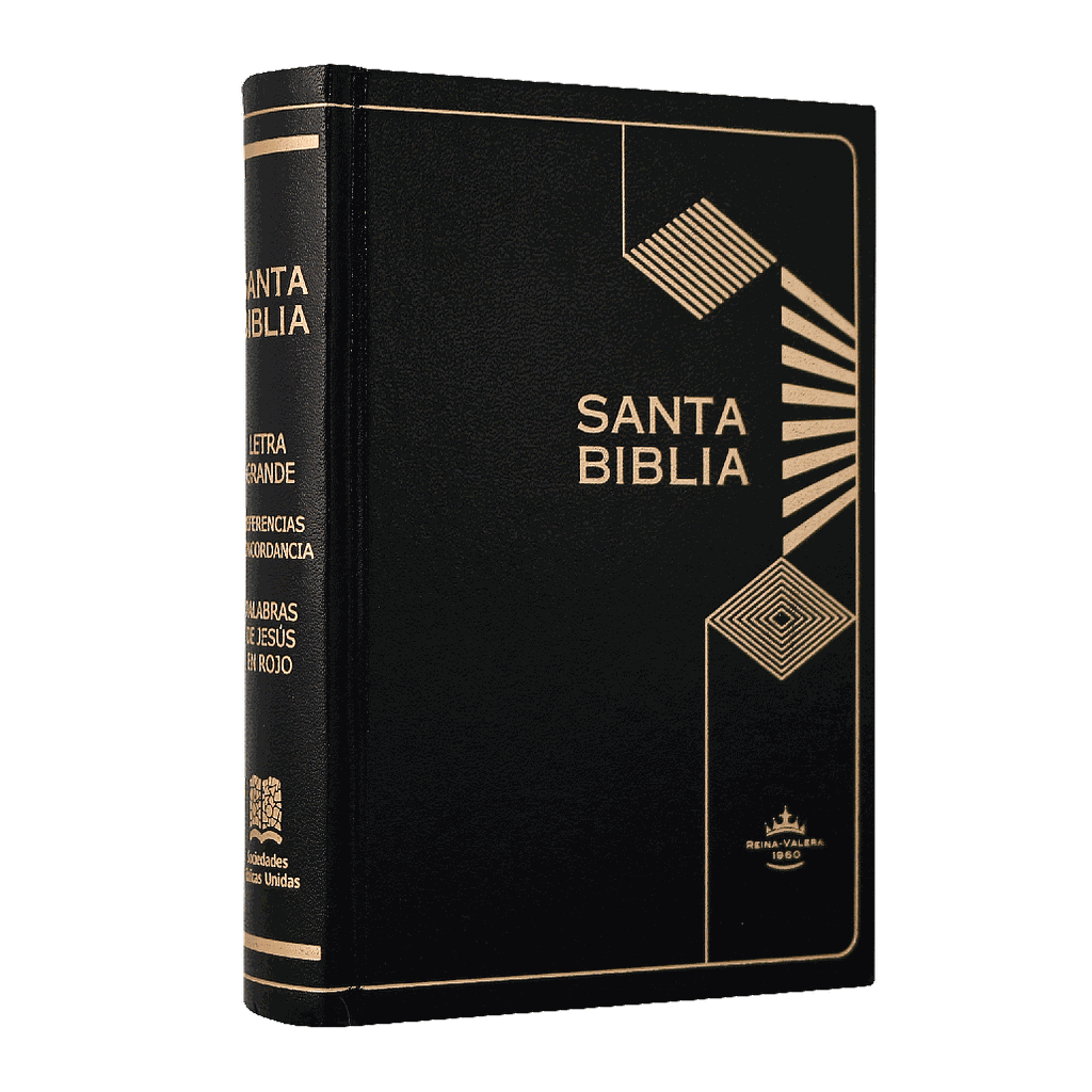 Biblia Reina Valera 1960 Mediana Letra Mediana Tapa Dura Negro [RVR043cLGPJRMDM