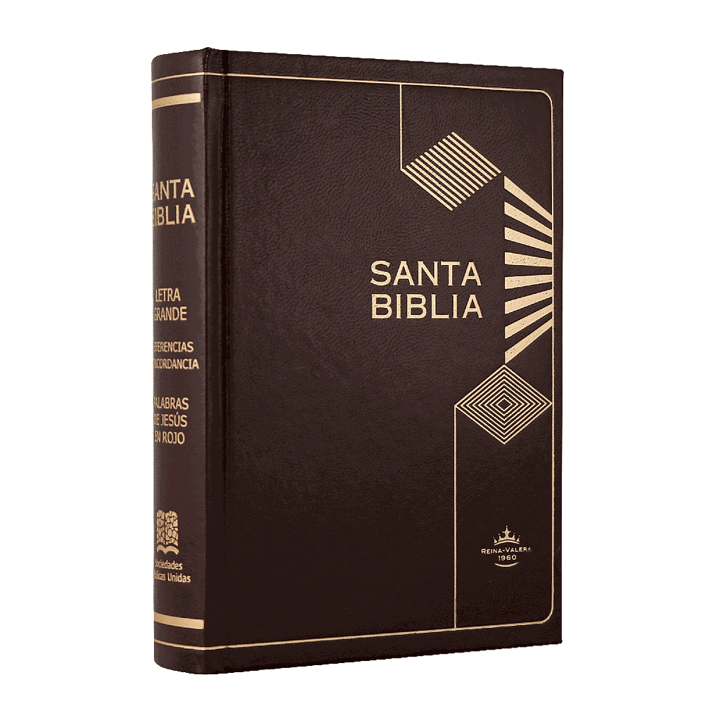 Biblia Reina Valera 1960 Mediana Letra Mediana Tapa Dura Café [RVR043cLGPJRMDM
