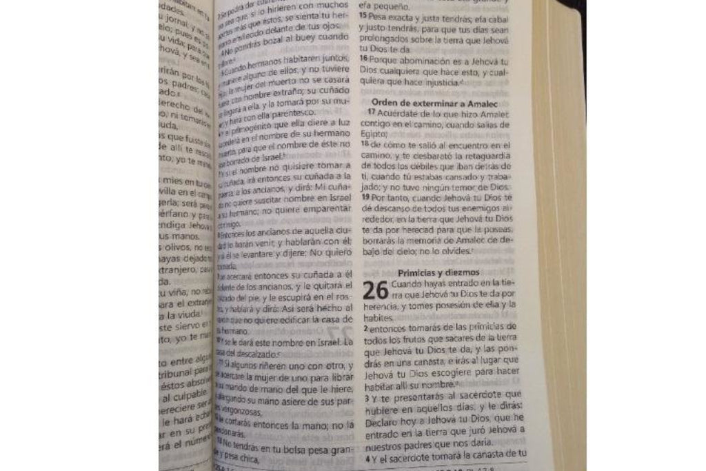 Biblia Reina Valera 1960 Mediana Letra Grande Imitación Piel Negro
