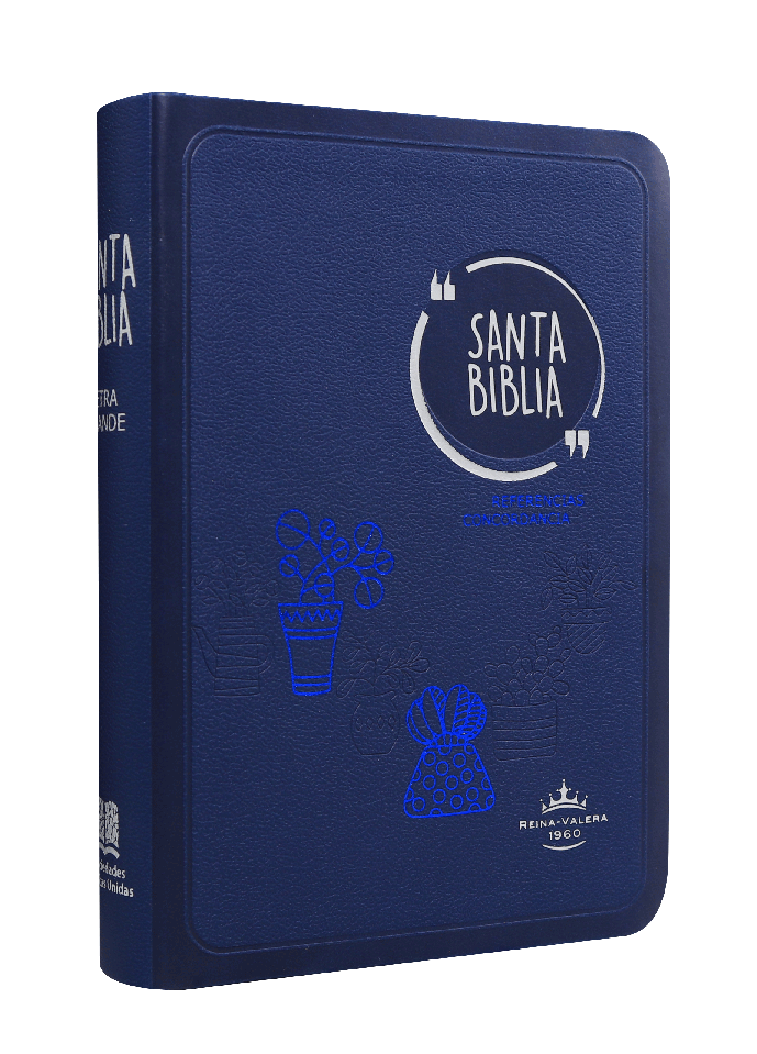 Biblia Reina Valera 1960 mediana Letra Grande Imitación Piel Azul [RVR045cLG GA]