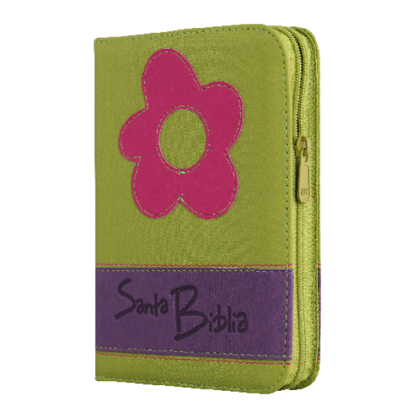 Biblia Reina Valera 1960 Chica Letra Mediana Imitación Piel Verde QR
