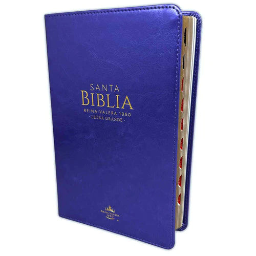 Biblia grande, letra grande, versión 60, color morado