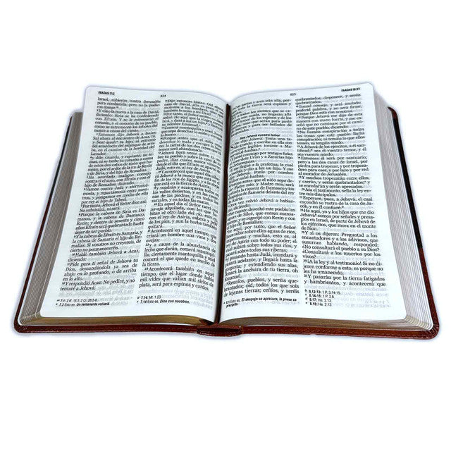 Biblia grande concordancia canto dorado letra 12 puntos café/marrón