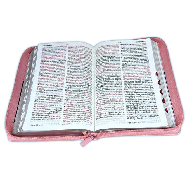 BIBLIA RVR065CZTI LG ROSA/CAFE FILIGRANAS PRIMAVERALES