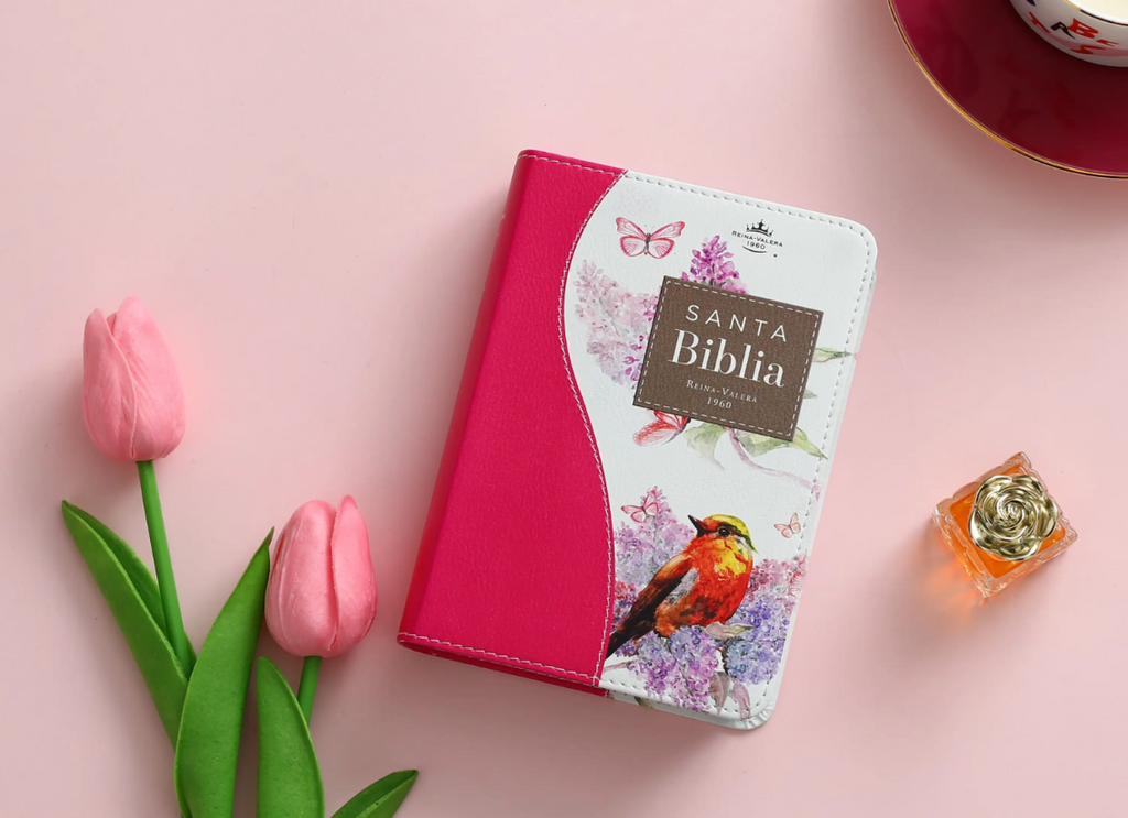Biblia chica versión 60 025c CP PJR Renovación Fucsia