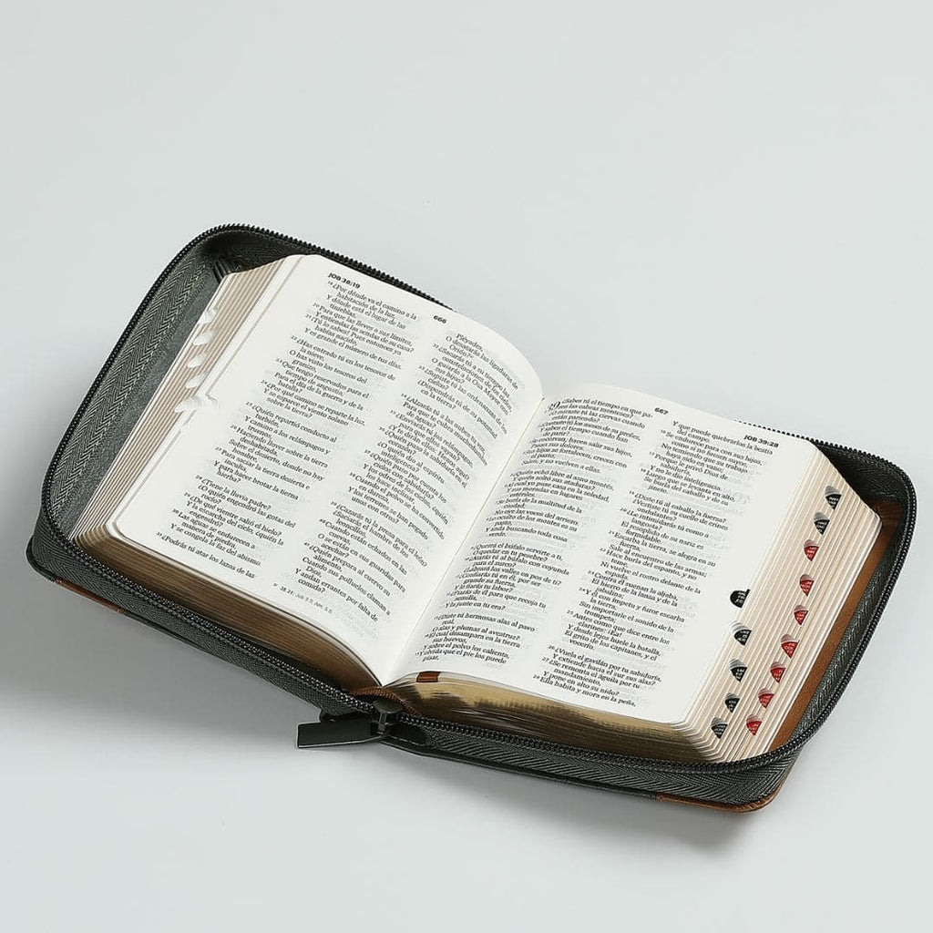 Biblia RVR60 Bolsillo i/piel Elegante Verde/Café con cierre/índice