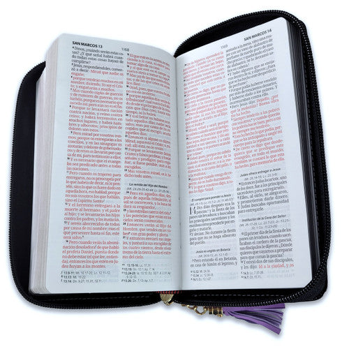 BIBLIA DE CHEQUERA  CZ CORAL/GRIS MB