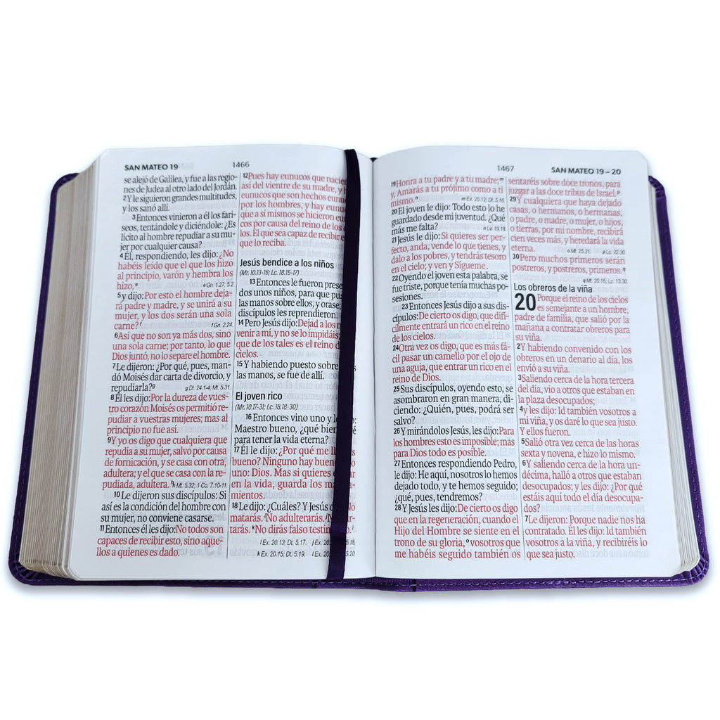 Biblia Mediana 12 puntos RV1960, Concordancia amplia 100 páginas, imitación piel lila cuadrado
