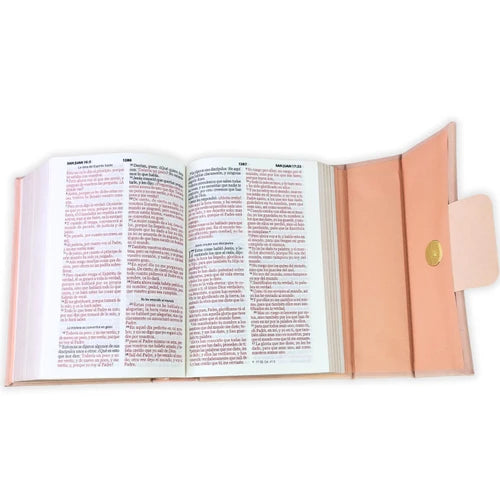 BIBLIA CARTERA CON BROCHE REINA VALERA 1960 COLOR TORNASOLADO